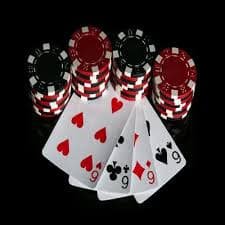 5577 bet com